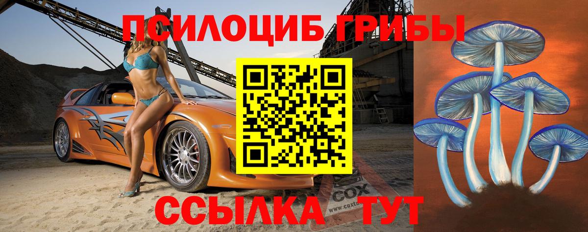 Галлюциногенные грибы Magic Shrooms Новокубанск