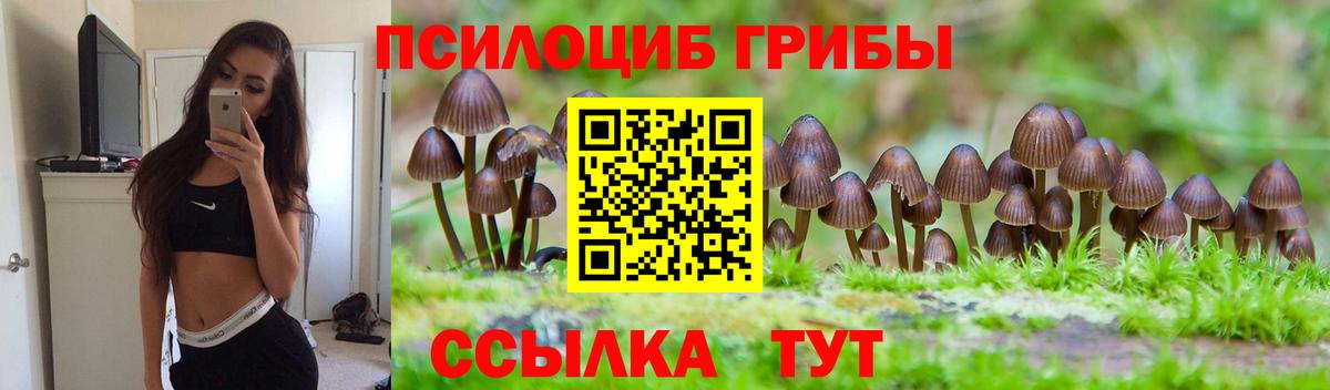 Новокубанск  Галлюциногенные грибы мухоморы  Вход с VPN 